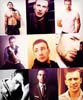 Chris Evans ( )